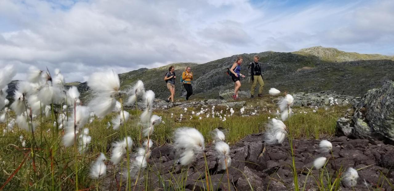 Heggjabygda Gjestegard, Nordfjordeid Kültér fotó
