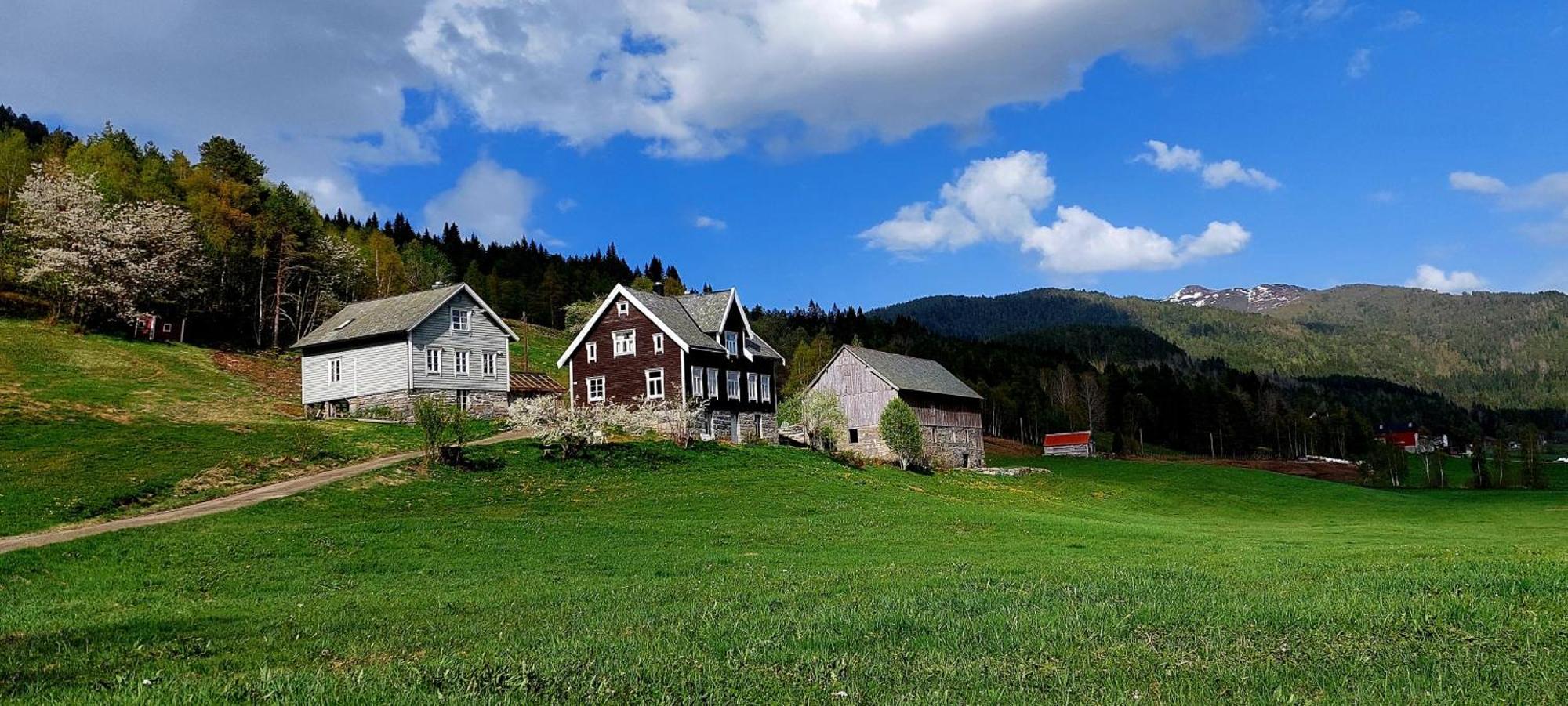 Heggjabygda Gjestegard, Nordfjordeid Kültér fotó