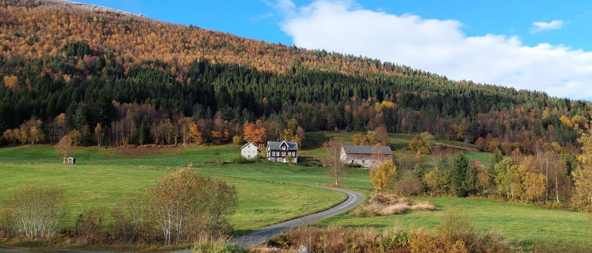 Heggjabygda Gjestegard, Nordfjordeid Kültér fotó